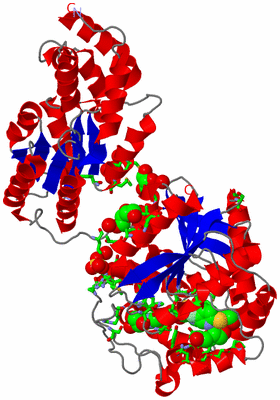 Image Asym. Unit - sites