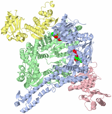 Image Biological Unit 1