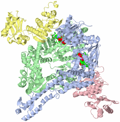 Image Biol. Unit 1 - sites