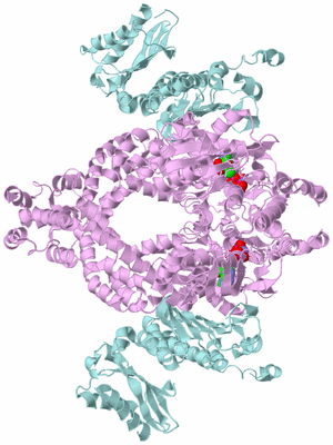 Image Biological Unit 2