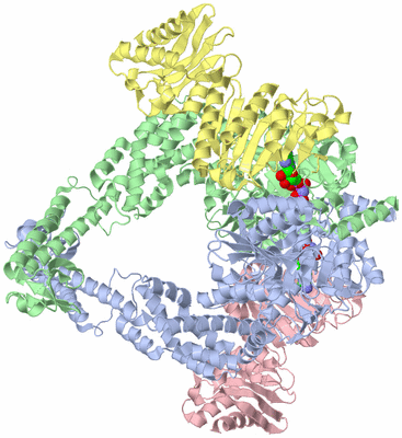 Image Biological Unit 1