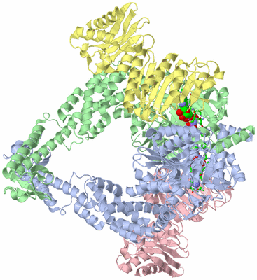 Image Biol. Unit 1 - sites