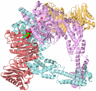 Image Biological Unit 2