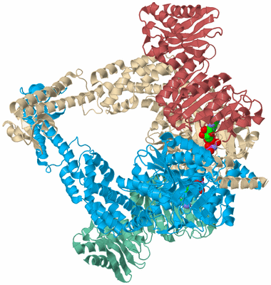 Image Biological Unit 3