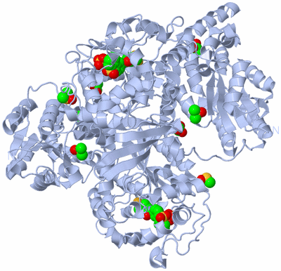 Image Biological Unit 1