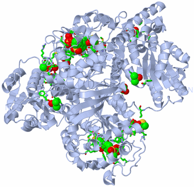 Image Biol. Unit 1 - sites