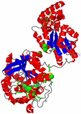 Image Asym. Unit - sites