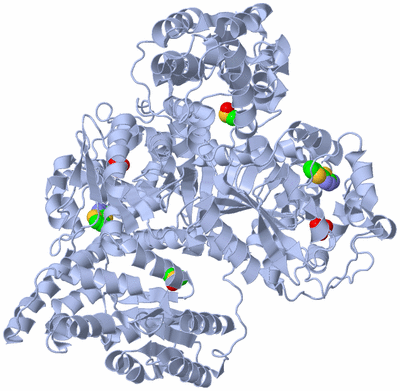 Image Biological Unit 1