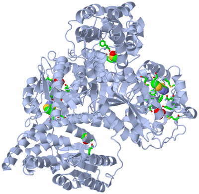 Image Biol. Unit 1 - sites