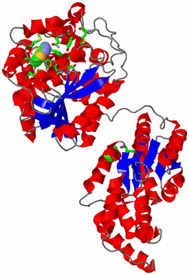 Image Asym. Unit - sites