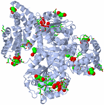 Image Biol. Unit 1 - sites