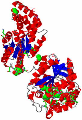 Image Asym. Unit - sites