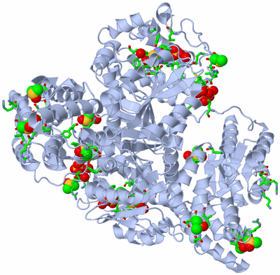 Image Biol. Unit 1 - sites