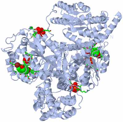 Image Biol. Unit 1 - sites