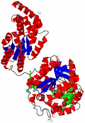 Image Asym. Unit - sites