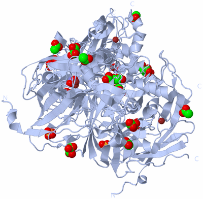 Image Biological Unit 1