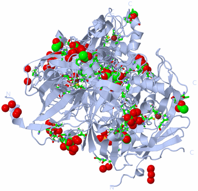 Image Biol. Unit 1 - sites