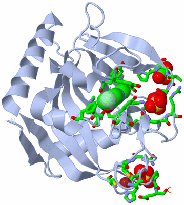 Image Biol. Unit 1 - sites