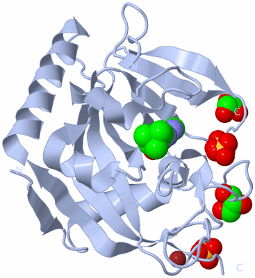 Image Biological Unit 1