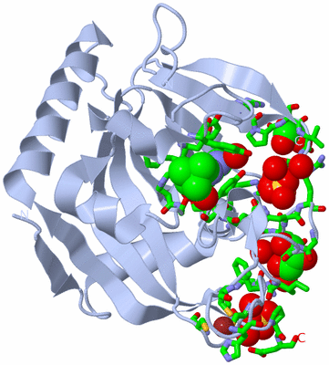 Image Biol. Unit 1 - sites