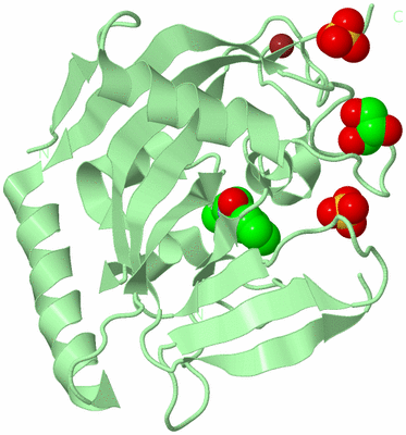 Image Biological Unit 2