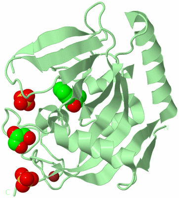 Image Biological Unit 2