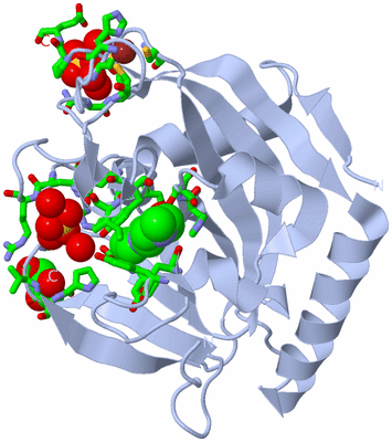 Image Biol. Unit 1 - sites