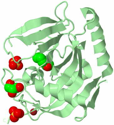 Image Biological Unit 2