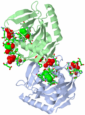 Image Asym. Unit - sites