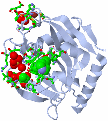 Image Biol. Unit 1 - sites