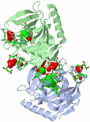 Image Asym. Unit - sites