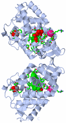 Image Biol. Unit 1 - sites