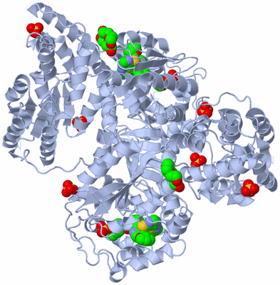 Image Biological Unit 1