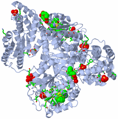 Image Biol. Unit 1 - sites