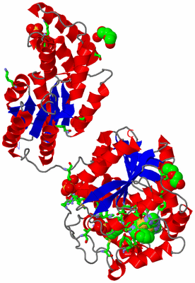 Image Asym. Unit - sites