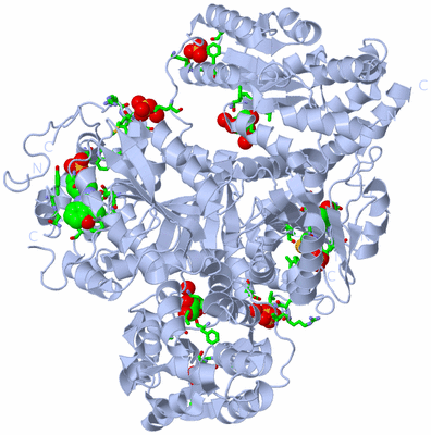 Image Biol. Unit 1 - sites