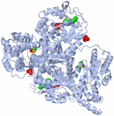 Image Biological Unit 1