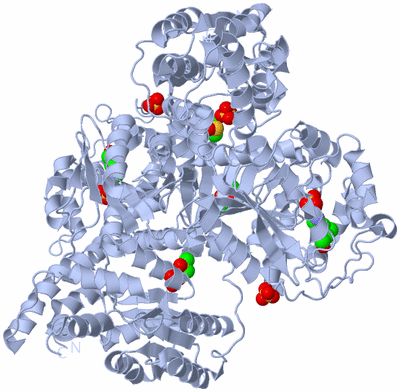 Image Biological Unit 1