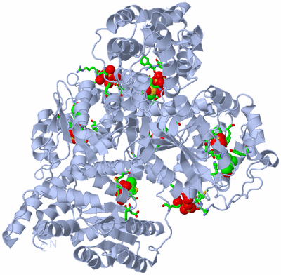 Image Biol. Unit 1 - sites