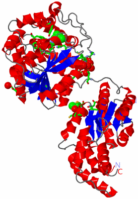 Image Asym. Unit - sites