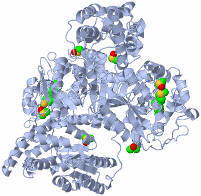 Image Biological Unit 1