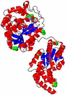 Image Asym./Biol. Unit