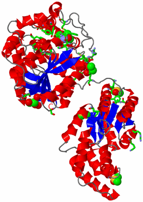 Image Asym./Biol. Unit - sites