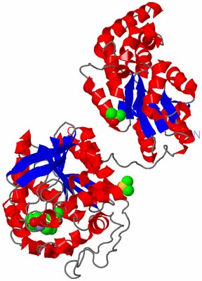 Image Asym./Biol. Unit