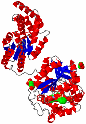 Image Asym./Biol. Unit