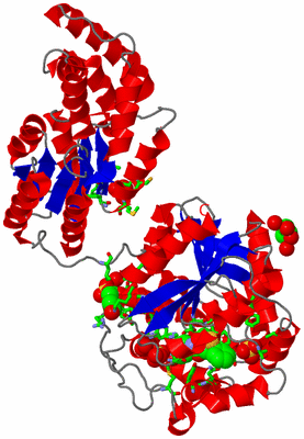 Image Asym./Biol. Unit - sites