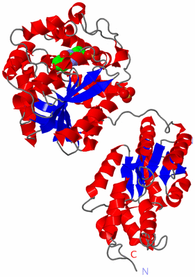 Image Asym./Biol. Unit