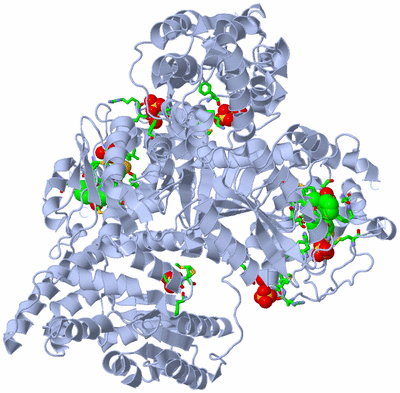 Image Biol. Unit 1 - sites