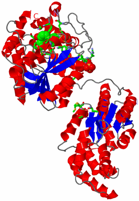 Image Asym. Unit - sites