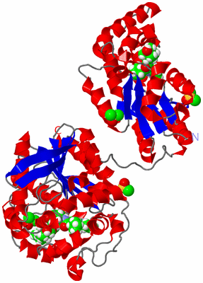 Image Asym./Biol. Unit